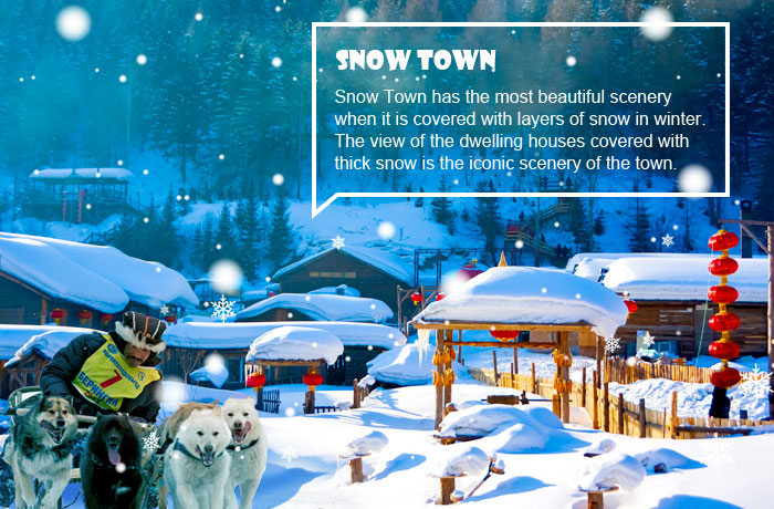 Snow Town