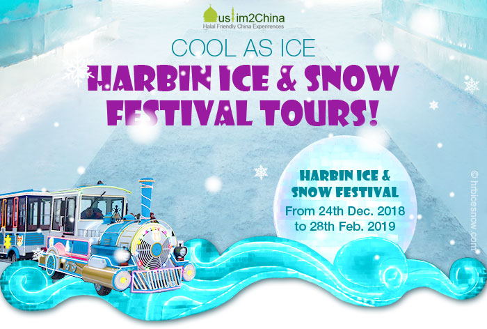 Cool as Ice Harbin Ice & Snow Festival Tours!
